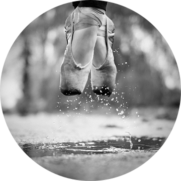 De dag dat we in plassen sprongen van Howard Ashton-Jones