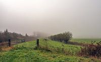 Brabantpolder im Nebel, Drimmelen von Ruud Morijn Miniaturansicht