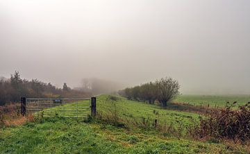 Brabantpolder im Nebel, Drimmelen