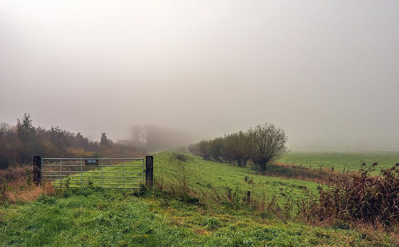 Brabantpolder im Nebel, Drimmelen von Ruud Morijn