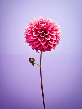 Portrait d'une fleur de Protea sur Virgil Quinn - Decorative Arts