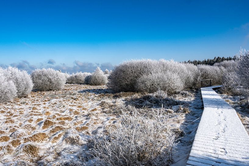 Winter in de Hoge Venen van Heinz Grates