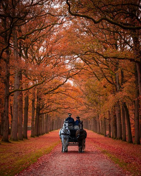 Apeldoorn von Gerard Glavimans