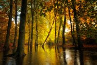 Leuvenumse beek