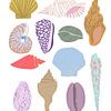 Sea shells by Sophia Amend