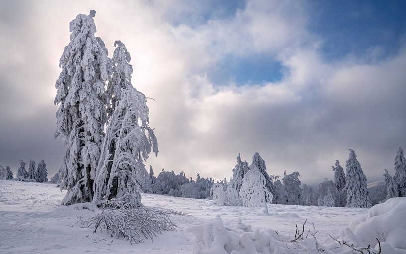 Kahler Asten, Sauerland, Germany by Alexander Ludwig