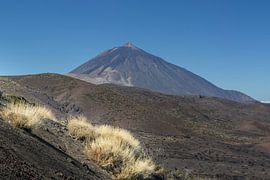 Fleurs dorées et sommet éternel - Un rêve d'automne sous le Teide sur Walter G. Allgöwer