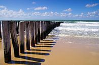 Strand Domburg von 7Horses Photography Miniaturansicht