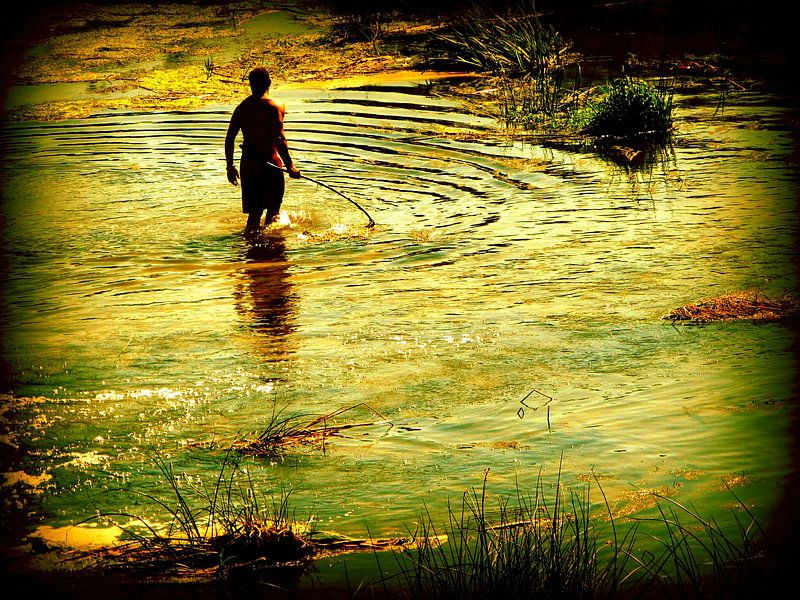 fisherman by Francisco de Almeida