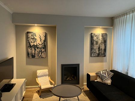 Ferns. Modern botanical art.