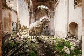 Spanish church by Gentleman of Decay