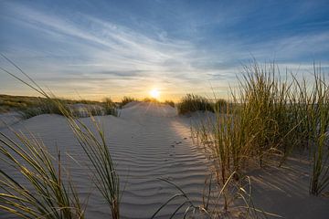 Coucher de soleil dans les dunes V sur Christoph Schaible