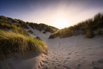 Chemin de dunes vers la mer sur Thom Brouwer