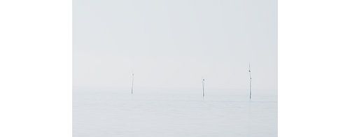 Posts in the Wadden Sea