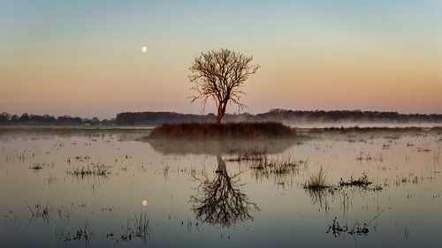 Lune au-dessus du Kloosterveld