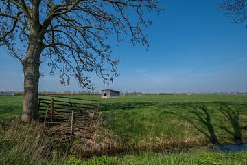 Schuur in weiland 04 sur Moetwil en van Dijk - Fotografie