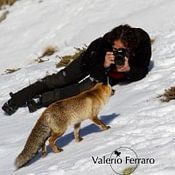 Valerio Ferraro photo de profil
