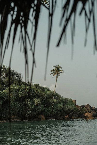 SINGLE von Melchior | Lifestyle Art Photography