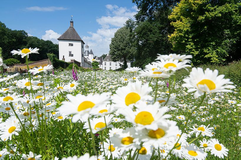 A spring morning at Castle Wisch in Terborg by Michel Geluk