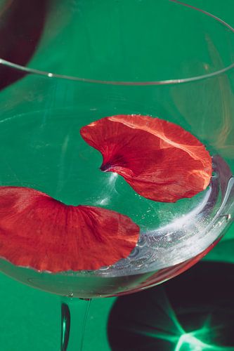 Klaproos blaadjes in glas