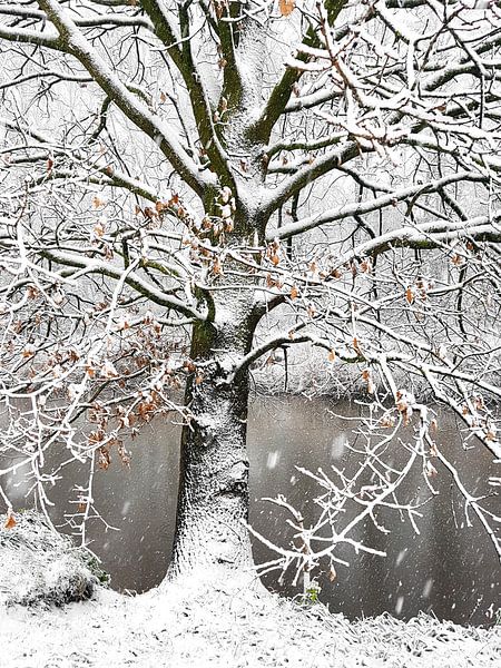 Winterliche 'sphären' von Erna Kampman