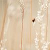 Een beetje kleur in de droogte van MdeJong Fotografie