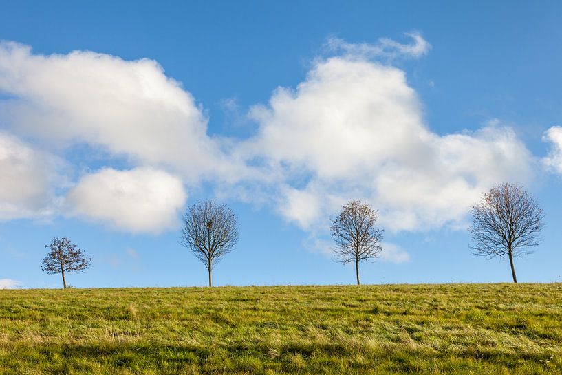 Bäume mit Sommerwolken bei Engenhahn von Christian Müringer
