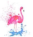 Flamingo by Jolanda Berbee thumbnail