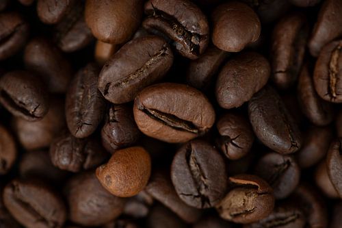 Impression d'art de grains de café torréfiés - foodphotography