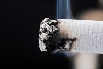 Cigarette, macro shot