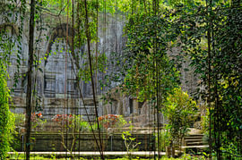 Rotstempel, Indonesië, Bali van Janina S.