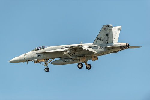 Boeing F/A-18E Super Hornet van VFA-31 Tomcatters.