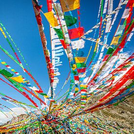 Tibetische Gebetsfahnen von Jack Donker