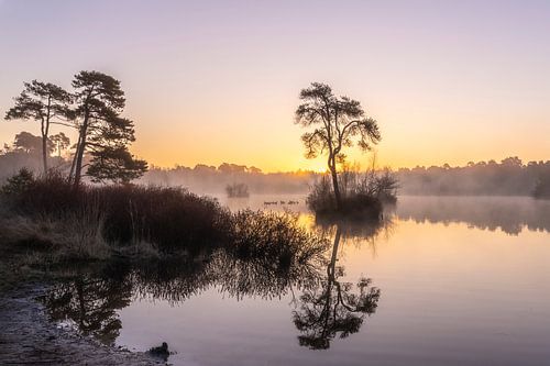 Het eilandje in de vroege ochtend in het blauwe uurtje.