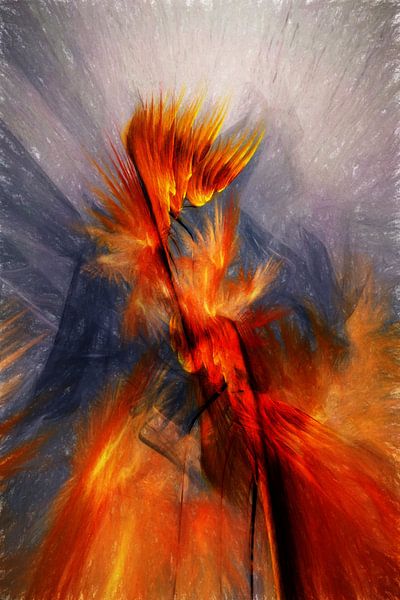 blazing flames von Dagmar Marina