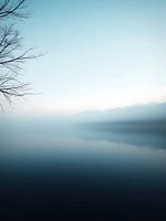 Misty Landscape