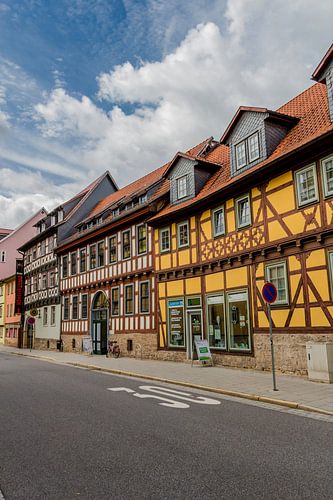 Adembenemend parklandschap bij kasteel Elisabethenburg