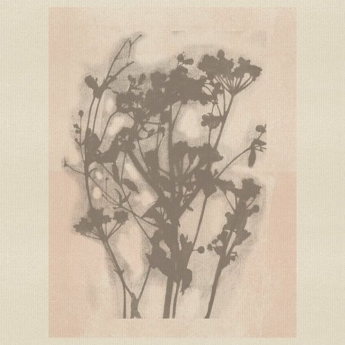 Botanisch met delicate wilde bloemen in zachte neutrale kleuren