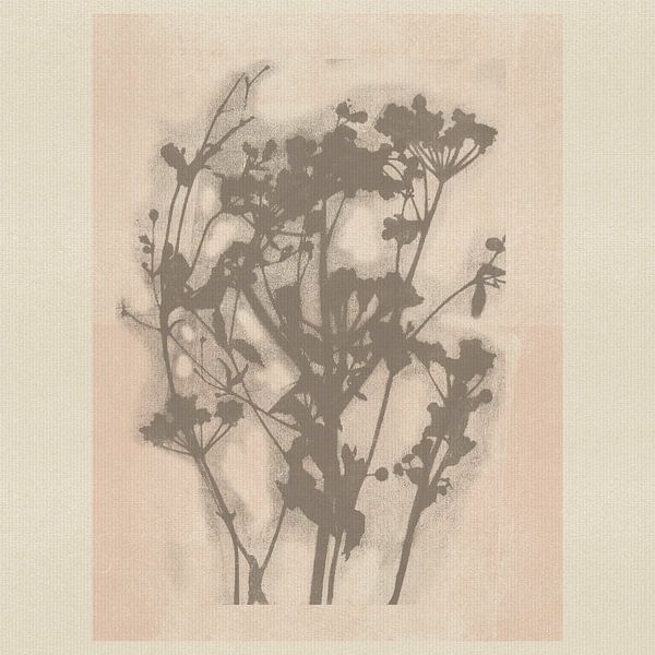 Botanical  with delicate wildflowers in soft neutral colors by Dina Dankers