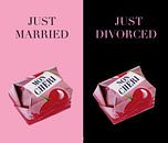 Getrouwd of gescheiden. van ASTR thumbnail