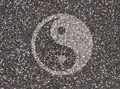 Yin Yang by Michelle Coppiens thumbnail