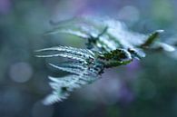 A touch of light by LHJB Photography thumbnail