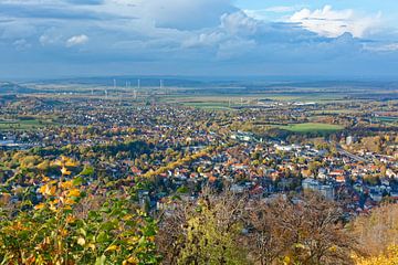 Uitzicht op Bad Harzburg vanaf de Burgberg II