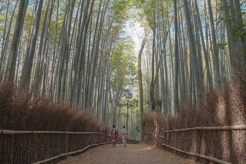 Bamboo von BL Photography