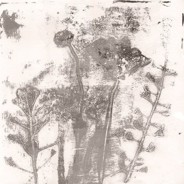 Abstrakte botanische Kunst. Blumen in neutralen Pastellfarben. Taupefarbene Blumen auf Weiß von Dina Dankers