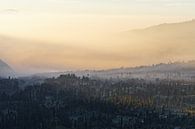 Indonesien - Nebelstimmung auf Hochebene bei Sonnenaufgang von Ralf Lehmann Miniaturansicht