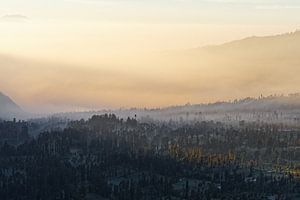 Indonesië - mistige sfeer op een plateau bij zonsopgang van Ralf Lehmann