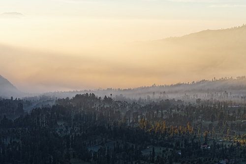 Indonesia - foggy atmosphere on a plateau at sunrise
