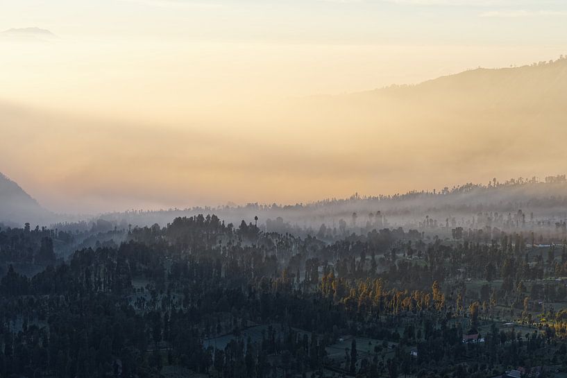 Indonesien - Nebelstimmung auf Hochebene bei Sonnenaufgang von Ralf Lehmann