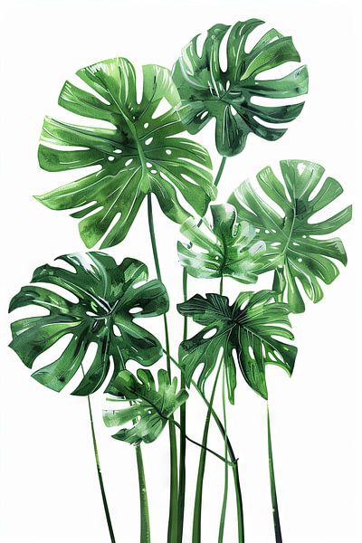 Monstera van Poster Art Shop